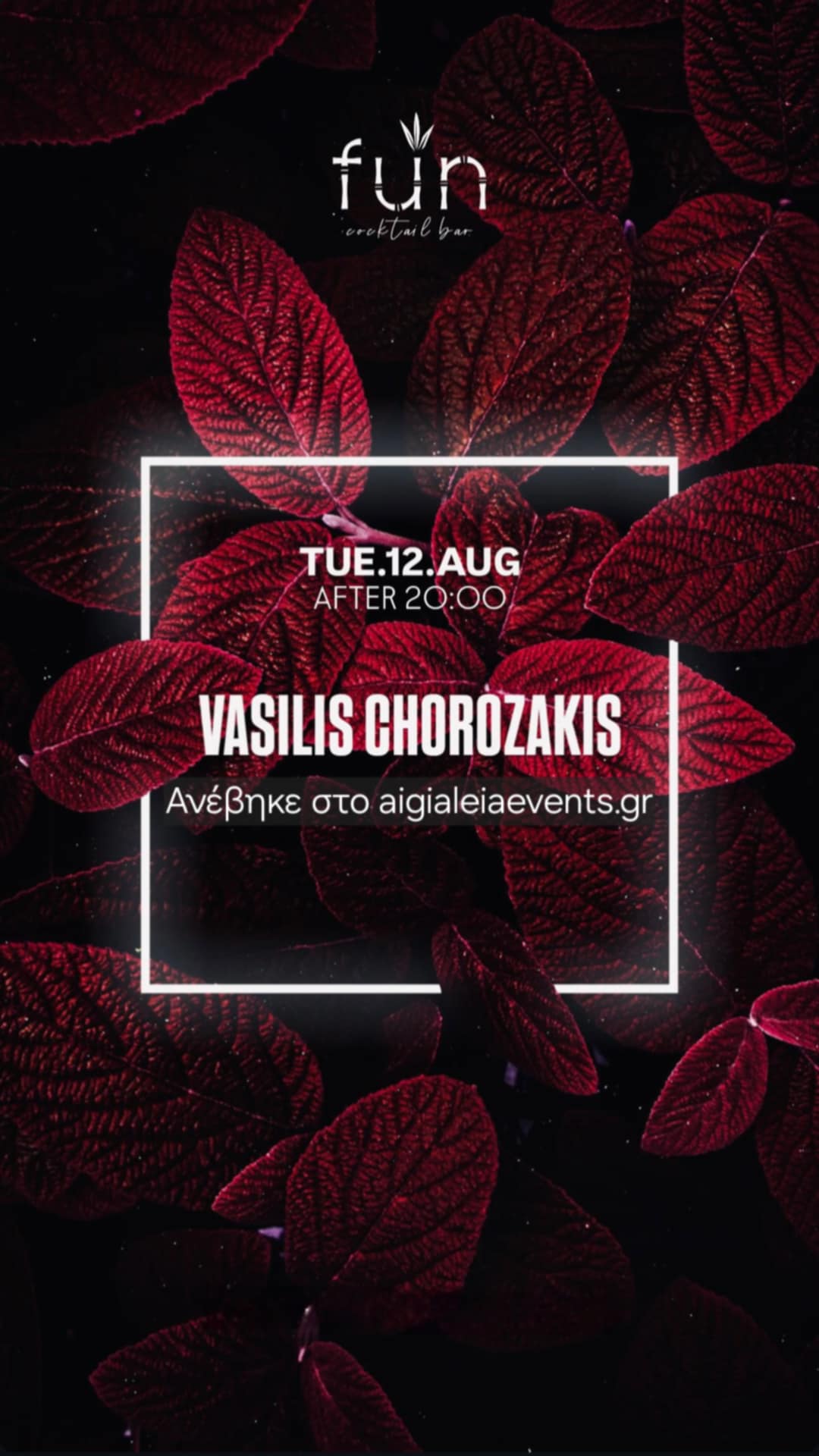 Αφίσα εκδήλωσης στο Fun στις 28 Αυγούστου 2025 με τον Dj Vasili Chorozaki.