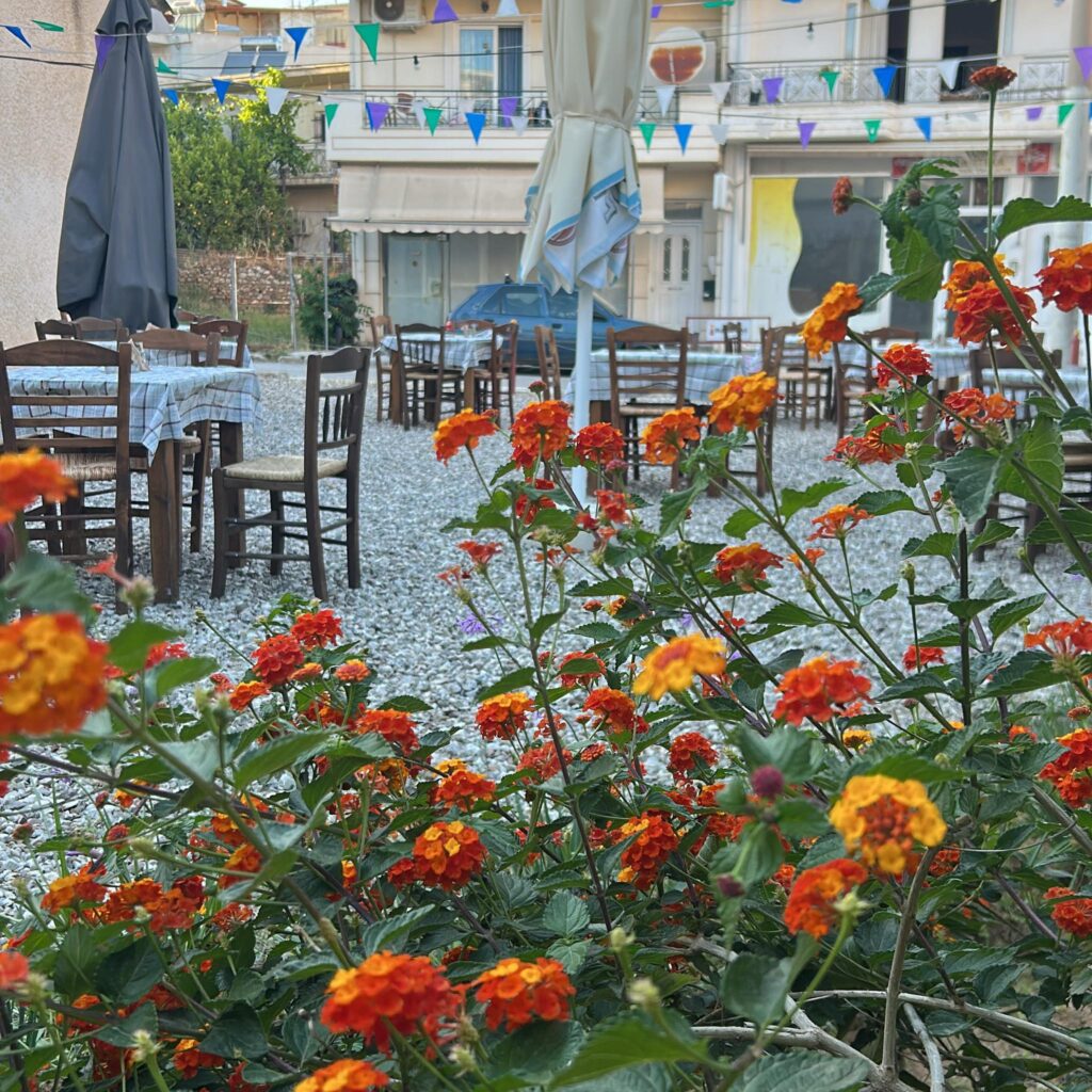 Εξωτερικός χώρος καταστήματος Mamakias.