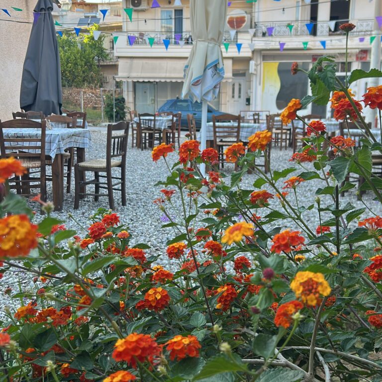 Εξωτερικός χώρος καταστήματος Mamakias.