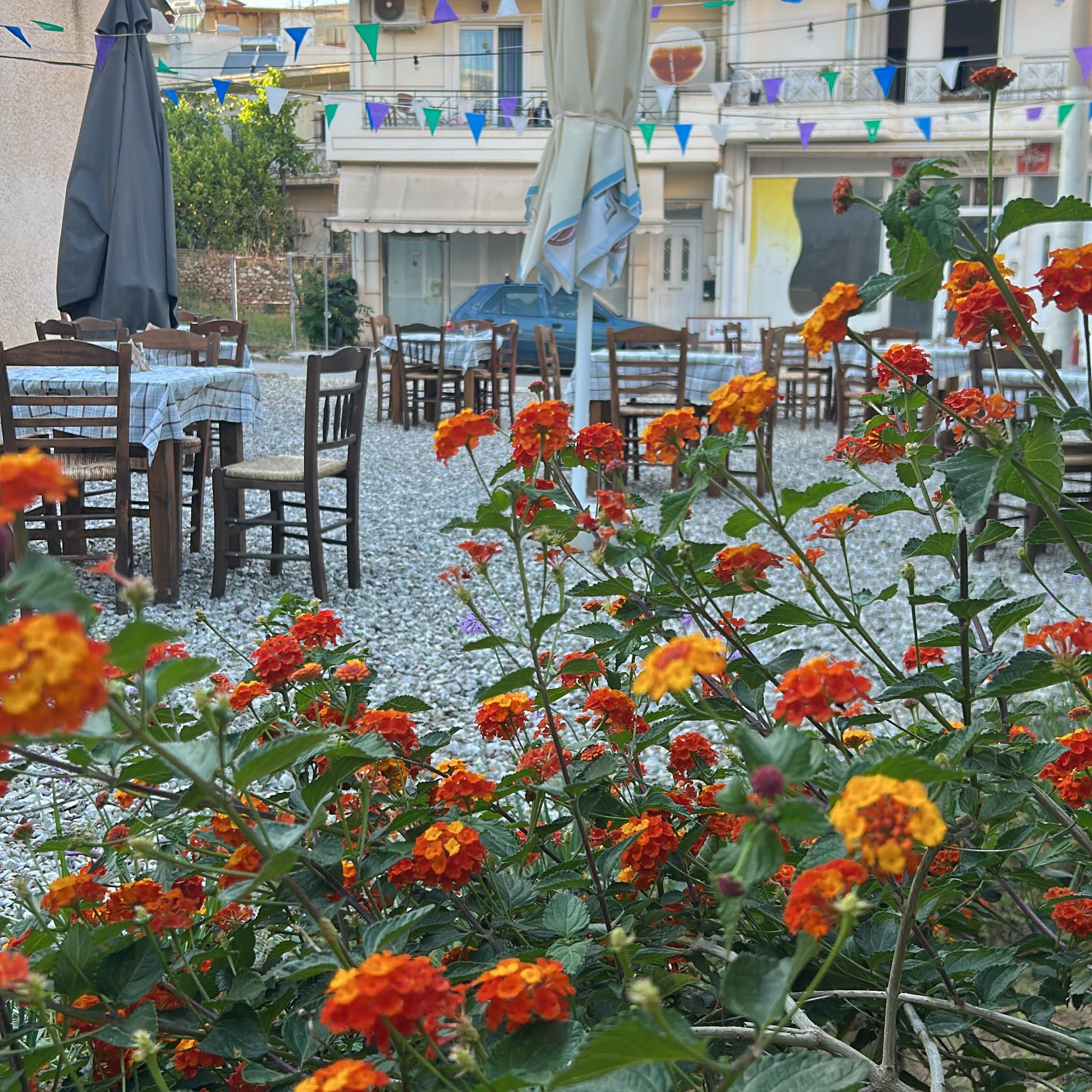 Εξωτερικός χώρος καταστήματος Mamakias.