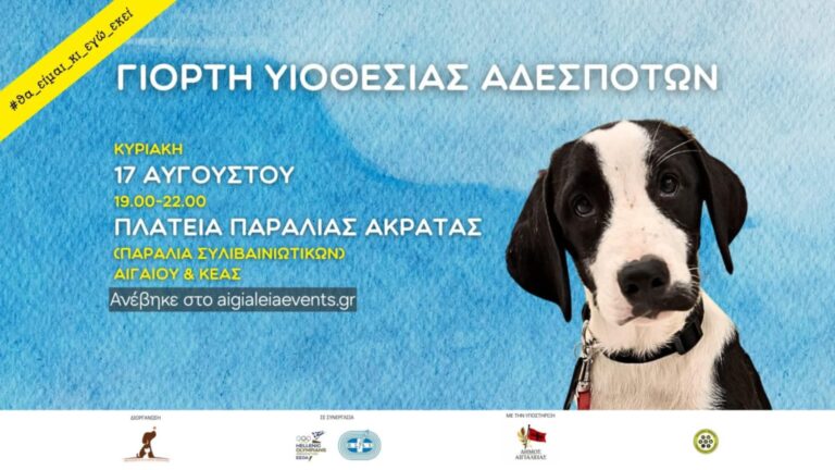 Αφίσα εκδήλωσης από τον φιλοζωικό σύλλογο Αιγιαλείας "Τα Φιλαράκια" στις 17 Αυγούστου 2025 με γιορτή υιοθεσίας αδέσποτων. Ώρες 19:00-22:00.