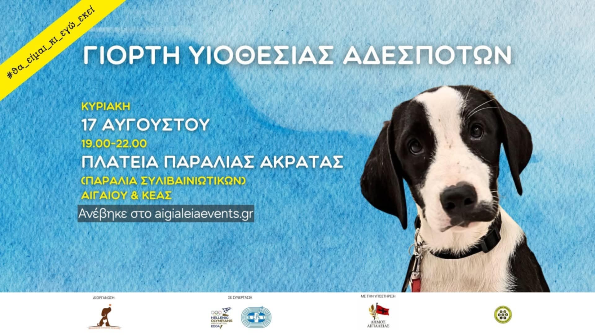 Αφίσα εκδήλωσης από τον φιλοζωικό σύλλογο Αιγιαλείας "Τα Φιλαράκια" στις 17 Αυγούστου 2025 με γιορτή υιοθεσίας αδέσποτων. Ώρες 19:00-22:00.