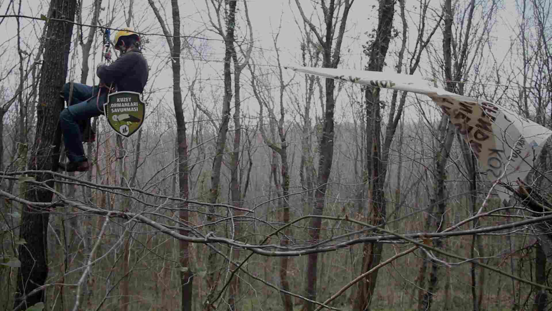 Εικόνα από το ντοκιμαντέρ "Βόρεια Δάση".